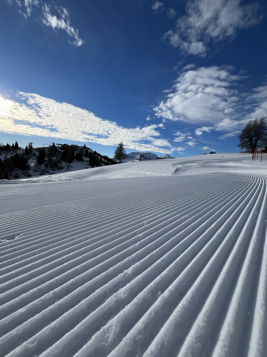 holimites tweet media