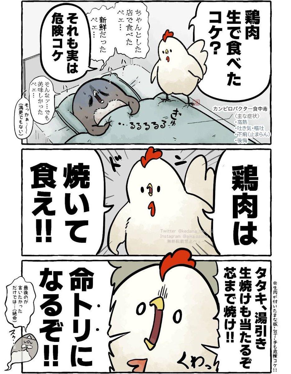 生の鶏肉に当たったアデリーペンギンと
注意喚起しに来たニワトリ
#虚無かわいいアデリーペンギン 