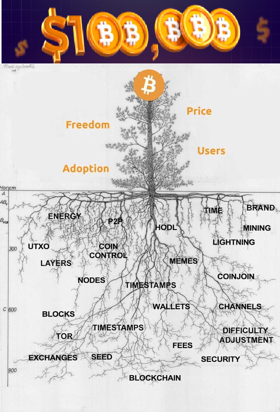 I naively remember in 2014, when BTC dropped below $1000 (2013 ATH) that it would probably never return to $1000. It's only been 10 years :-D  

10$=2011 
100$=2013 
1000$=2013 
10000$=2017 
100000$=2024

#BTC #Bitcoin #FiatSCAM
