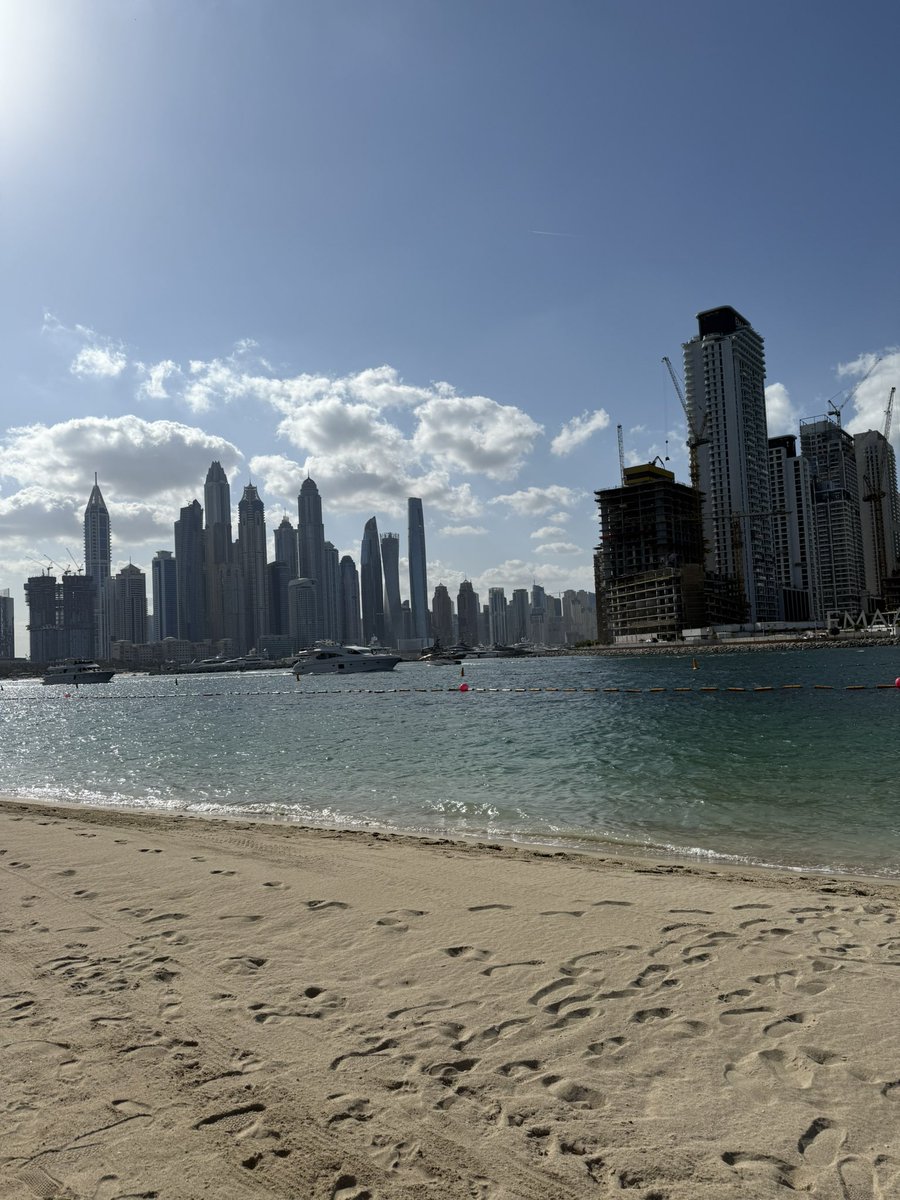 Sean Rea tweet media