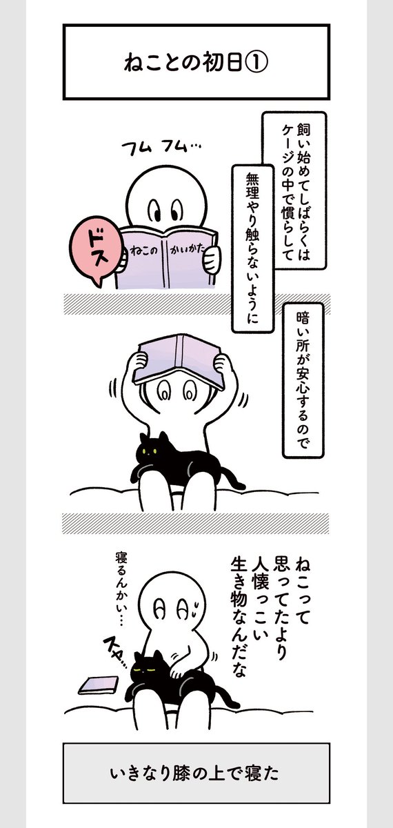 今日でろんさんがうちに来てちょうど10年になります。というわけで10年前のことを書いた絵日記を置いておきます✌️
いちばん初めに公開した絵日記で、単行本1巻の内容です。なつかしい〜 