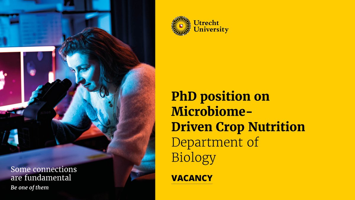 Corné Pieterse (@corne_pieterse) on Twitter photo We have a vacancy for a PhD position with our recently started PMI PI <a href="/ArsheedSheikh/">Arsheed Sheikh</a> at Utrecht University. Please apply via: uu.nl/en/organisatio… We have a vacancy for a PhD position with our recently started PMI PI <a href="/ArsheedSheikh/">Arsheed Sheikh</a> at Utrecht University. Please apply via: uu.nl/en/organisatio…