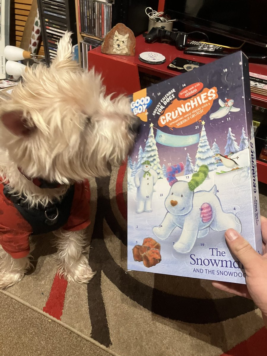 Finally it ere. Someone, not mentioning any names but was hoodad, furgot to order mine advent calendar on time &amp; den when it did come postie man couldn’t deliver as, again no names but hoodad, was werking so missed him and had to collect from delivery office. Best play catch up!