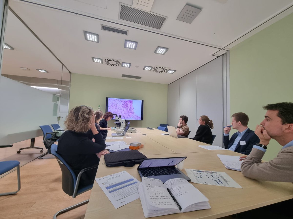 NHLSEHOPGroup's tweet photo. Last week, the NHL-SEHOP Group hosted the annual meeting of the European Inter-Group for Childhood Non-Hodgkin Lymphoma (EICNHL) at @idibaps!
An inspiring event promoting collaboration, innovation, and progress in pediatric lymphoma research.
👉Read more: https://t.co/uNhTVjvvYP https://t.co/VmxuPPt567