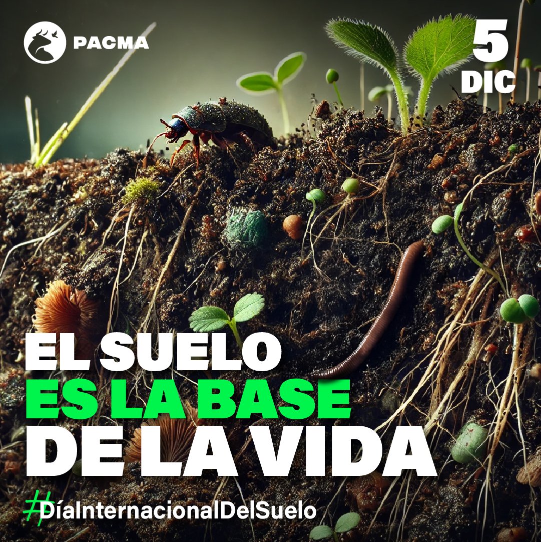 🌱¡Cuidemos el suelo!

🌎El suelo es la base de la vida, tiene una inmensa biodiversidad y es la fuente de nuestra alimentación y de la de todos los seres del planeta. Un suelo sano aporta nutrientes y vitaminas a más del 95% de los alimentos.

🚫En este #DíaMundialdelSuelo,