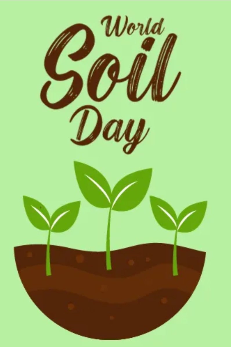 fullerandthomas's tweet photo. Today is World Soil Day 24, hilighting the importance of healthy soil and the future of our planet. We install lots of soil for our Clients. #fullerandthomas #loveconstruction #worldsoilday #landscaping #groundworks #greenroofs #brownroofs #planethealth https://t.co/Kx469wXEYY