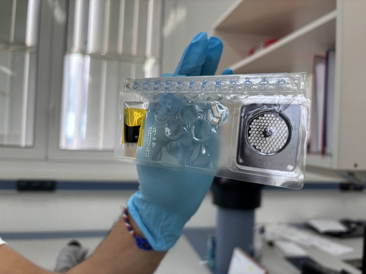 ArchipielagoRNE's tweet photo. 📻Ya puedes escuchar el último #Latitud28

🌧️Conocemos el trabajo científico para la recuperación tras la DANA en Valencia

🦠El Instituto de Enfermedad Tropicales de @ULL analiza patógenos que puedan afectar a la salud, ya hay casos de gastroenteritis

▶️https://t.co/krAg5iYDHG https://t.co/lxt49vq9jM