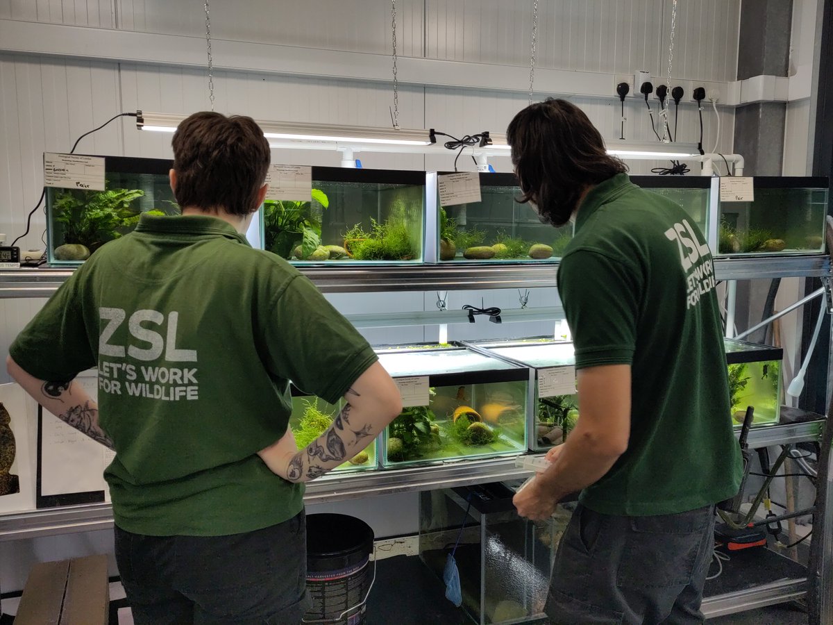 ZSL Science tweet media