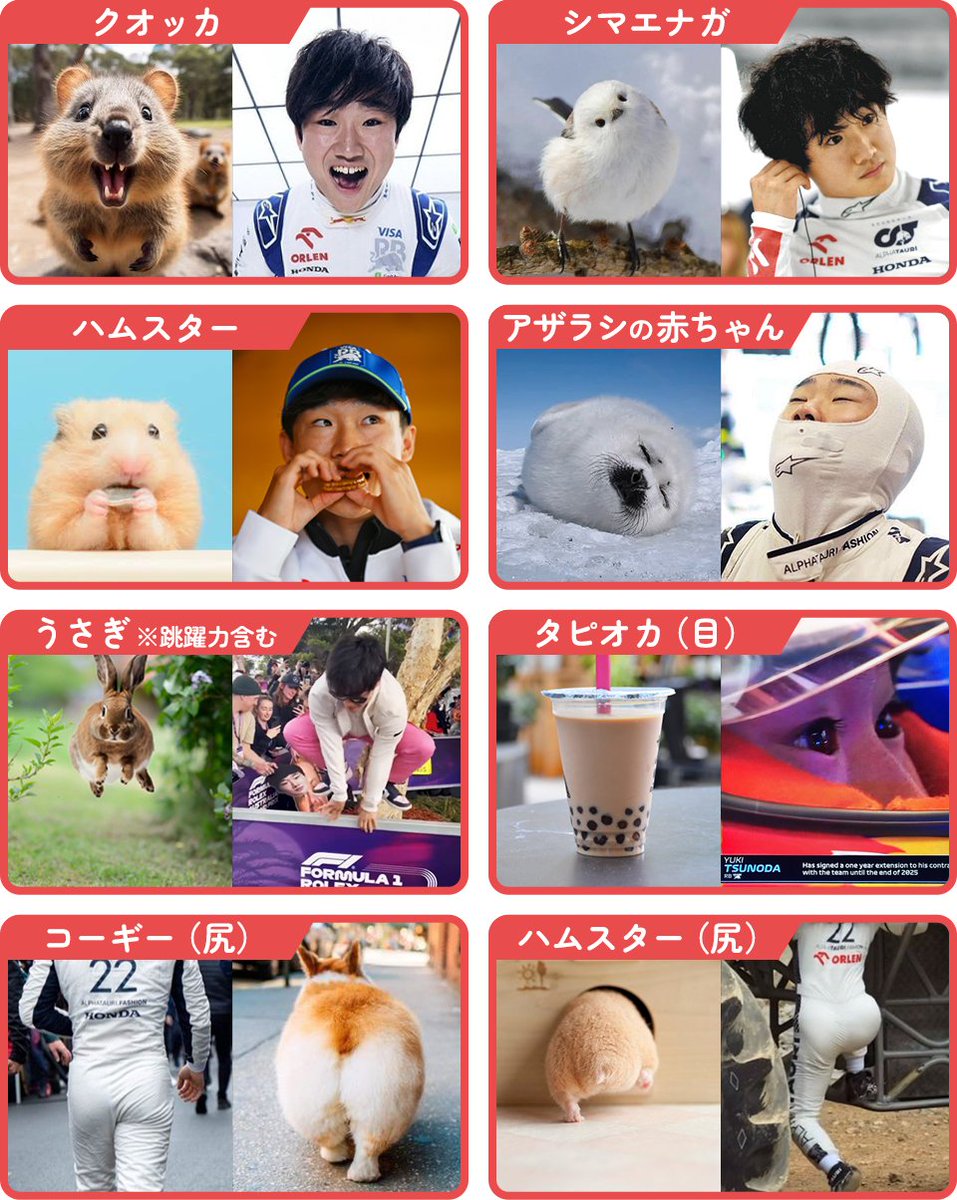 にゃんこねん tweet media