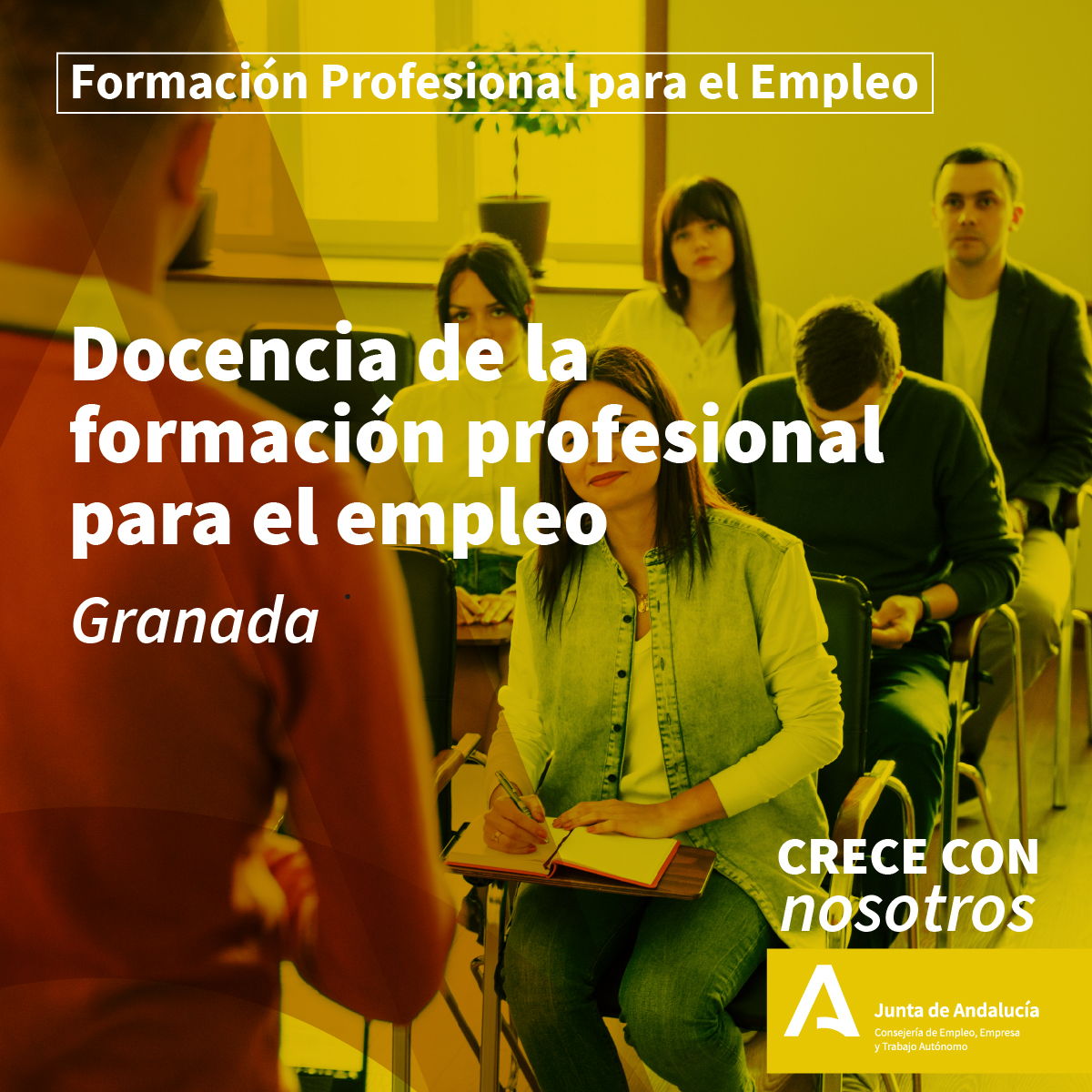 🎓 ¡Nuevo Curso de Docencia de la Formación Profesional para el Empleo ...