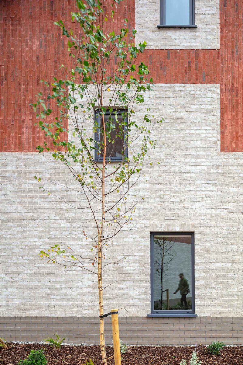 concretecentre's tweet photo. @proctormatthews has used #insulatedconcreteformwork to revive a traditional form of settlement at Wilkinson’s Brook in Dublin. Read more in #CQAutumn https://t.co/GpLEanVaTd https://t.co/7QDBieLN44