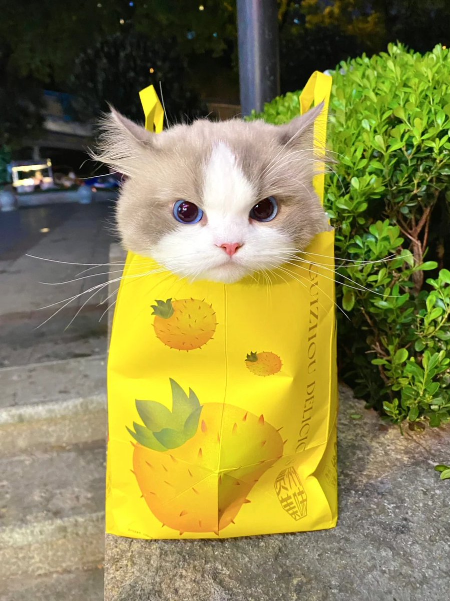 I was touched on the head by a passerby and was so angry