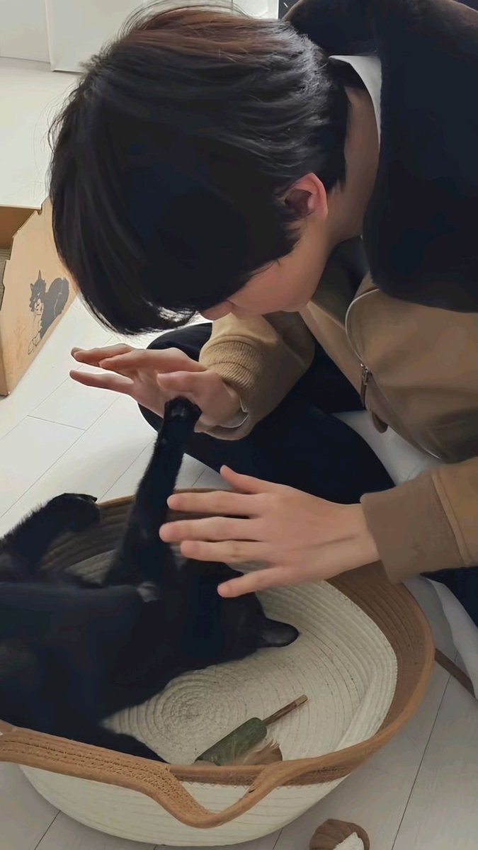 ♡ᰍ Hᥲρρყ sᥙᥒshιᥒᥱ dᥲყ!!