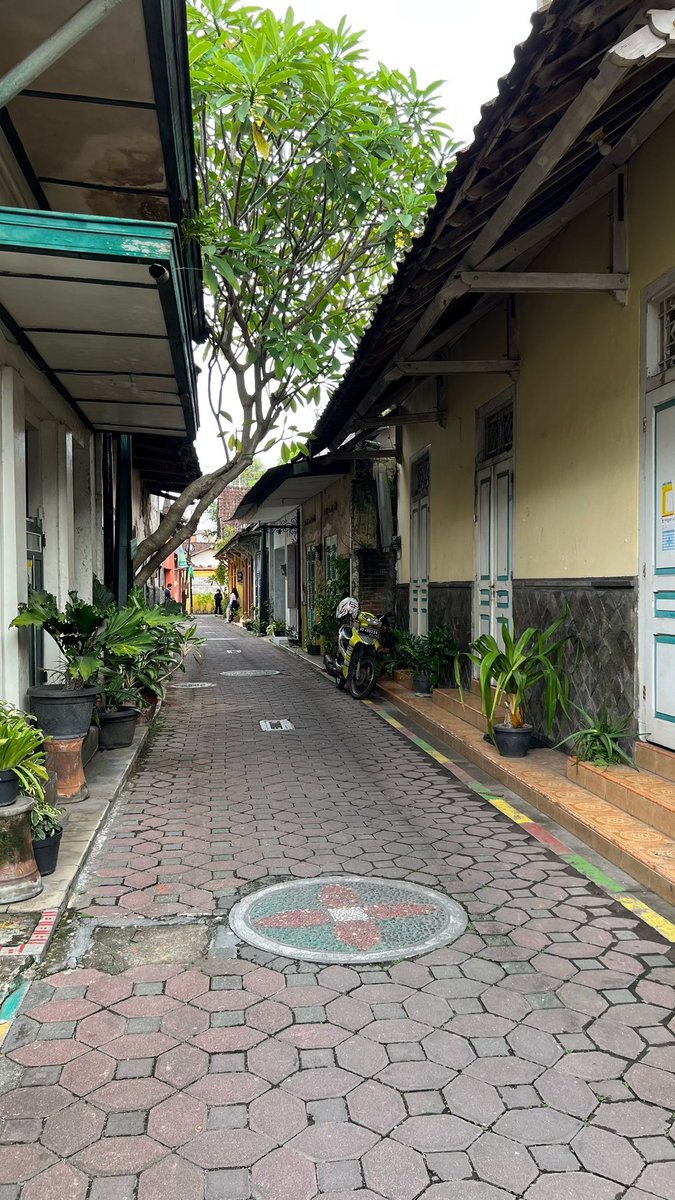 bulbulkiroku's tweet photo. Kadang jalan kaki bikin kita sadar akan hal-hal kecil yang sering terlewat kalau lagi naik kendaraan. Mulai dari nemu warung jajanan enak, ketemu kucing lucu, bunga liar di pinggir jalan, sampai menikmati suasana jalanan yang adem. Ternyata, melambatkan langkah itu seru juga ya. https://t.co/0iGKmY1gMy