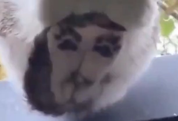 benjitttt's tweet photo. @curioXities @buitengebieden Can't work out if that is the face of Guido Fawkes, or Jesus Christ. https://t.co/KEgA0EugML