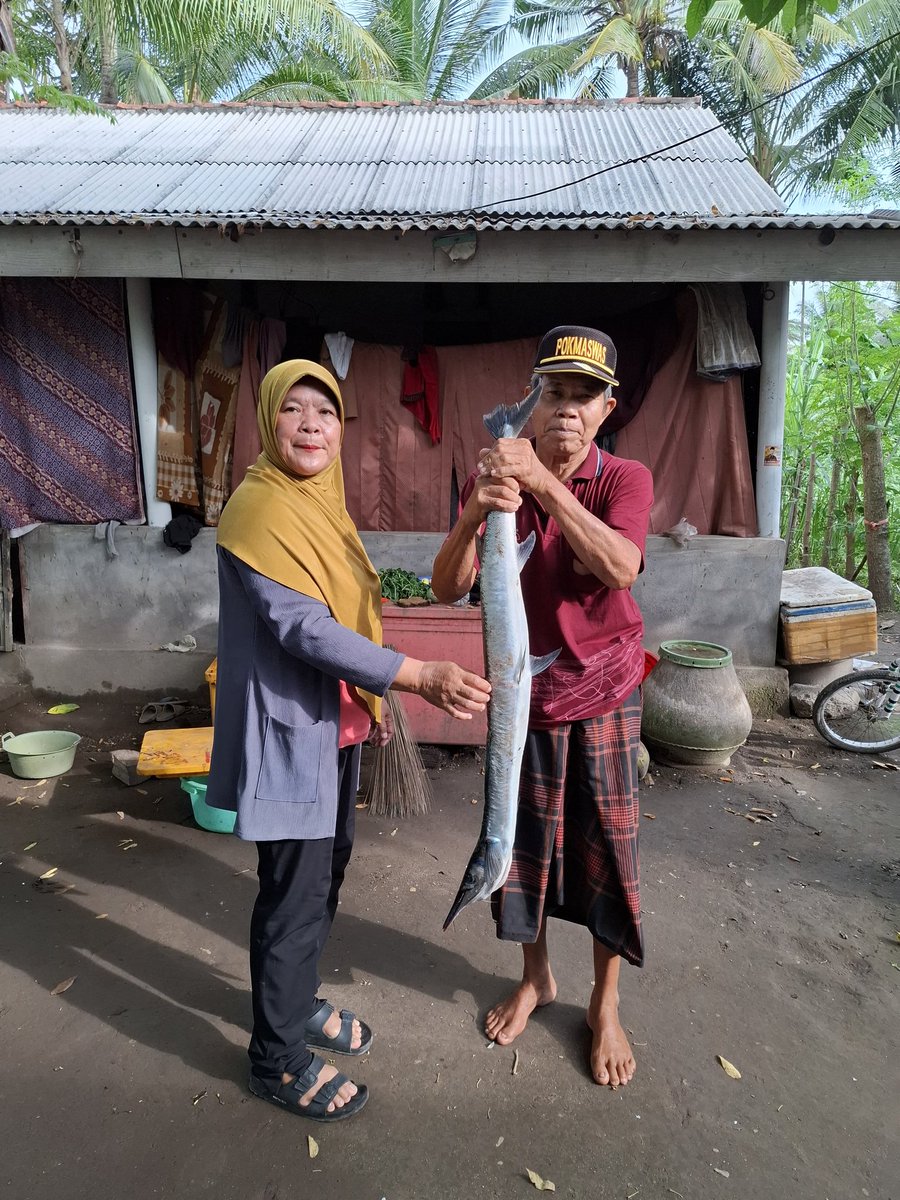 fitri1964's tweet photo. Kamis(5/12) fitriah luhkan Lotim monitoring hsil Tangkpn nelayan ats nm  Amak Padil ds Ijobalit jenis ikan Kacang kacang alt tngkp Pncing   brat 4 Kg  hrg 40.000/kg #GiatLuhkanSatminkalGONDOL
#LuhLapor
#LomTim
@bppsdm_kp
@pusluh_bppsdm
@bppsdm_gondol
@Luhkan_LotimK https://t.co/RN64G2jfur