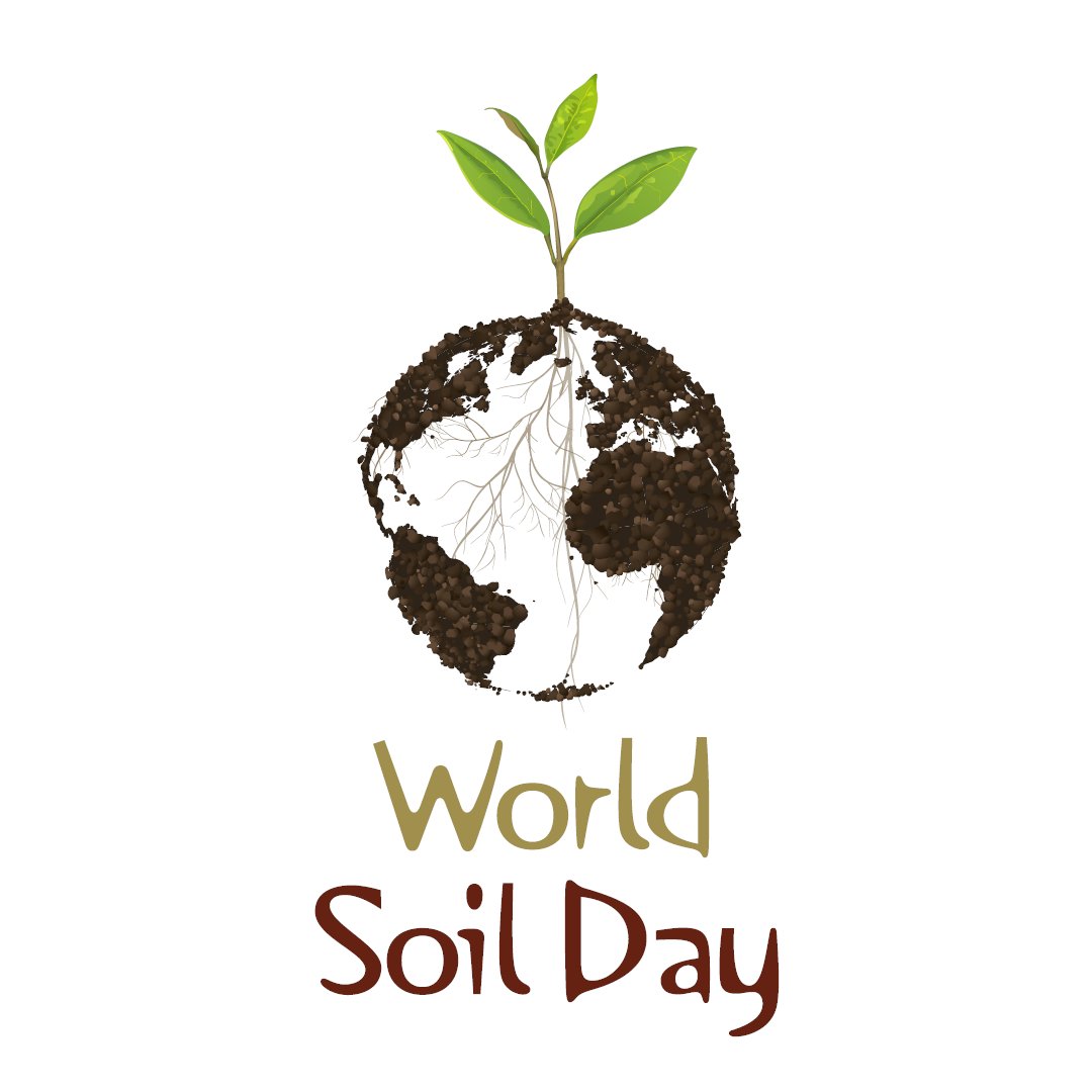 agritonuk's tweet photo. 🌍 Healthy Soil, Healthy Planet! 🌱 This #WorldSoilDay, Lets celebrate the power to grow food, store carbon, and sustain life.

Discover solutions like bokashi  to protect and enrich our soils: https://t.co/Q5Pgo9NA47 🌾

#SoilHealth #SustainableFarming #WorldSoilDay #Bokashi https://t.co/0L2AznjLFI