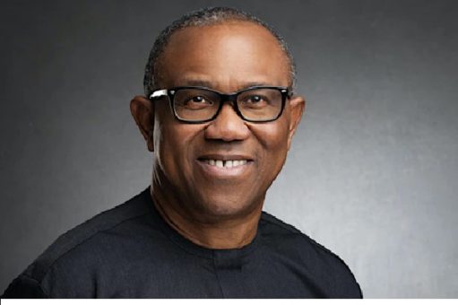 The Nation Nigeria tweet media