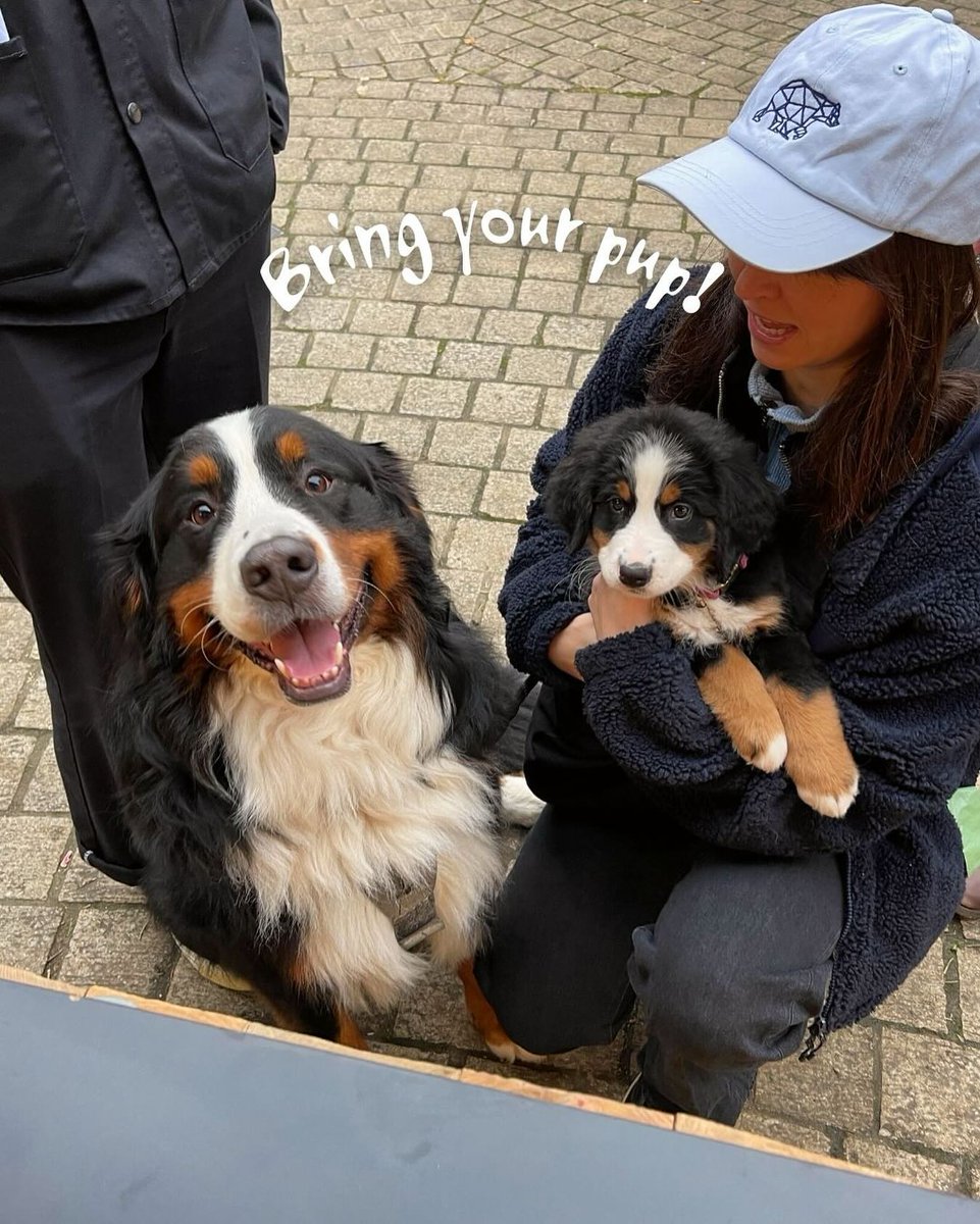 Petersfield Festivals tweet media