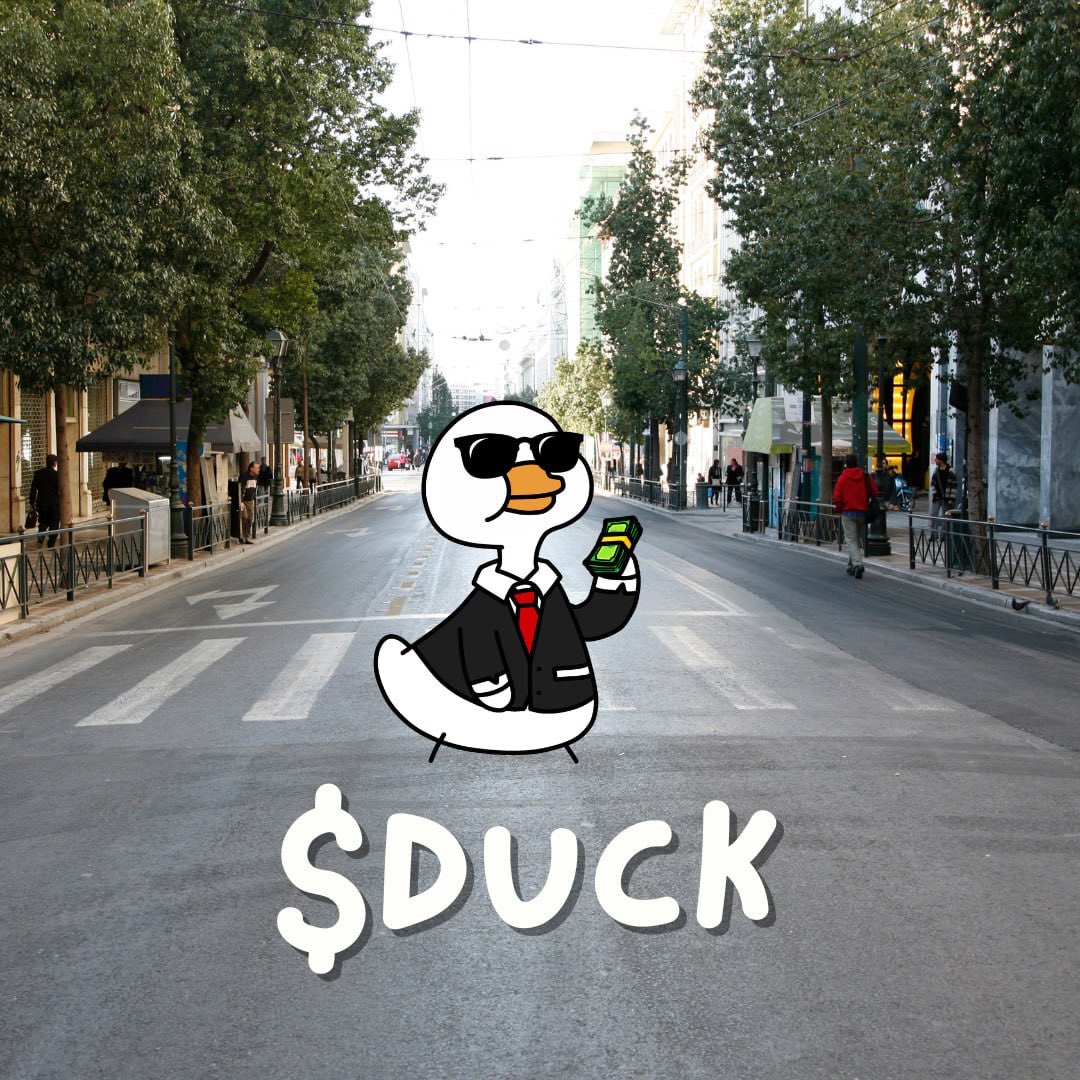 noneedduckspl's tweet photo. $DUCK doesn’t flap it glides. Graceful moves only. 🦆🌬️

#SOL #DUCK #solmemes https://t.co/tYhh1EplHJ
