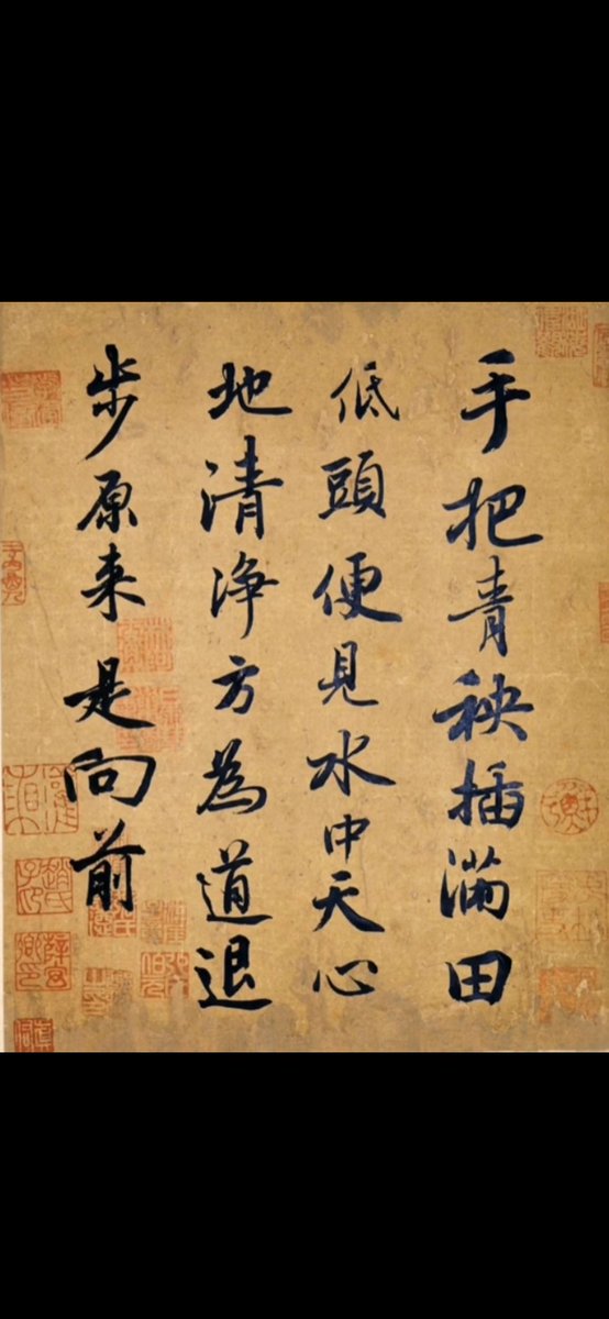 纪念大饼突破10W美金，6年转瞬即逝，信仰也需要不断的正回馈进行巩固，而正回馈又不断的夯实着信仰，那这种信仰就像幸福车轮一样不断向前滚动，任由他人评说。信仰大饼，从来没有让你失望过，也是一种幸运。