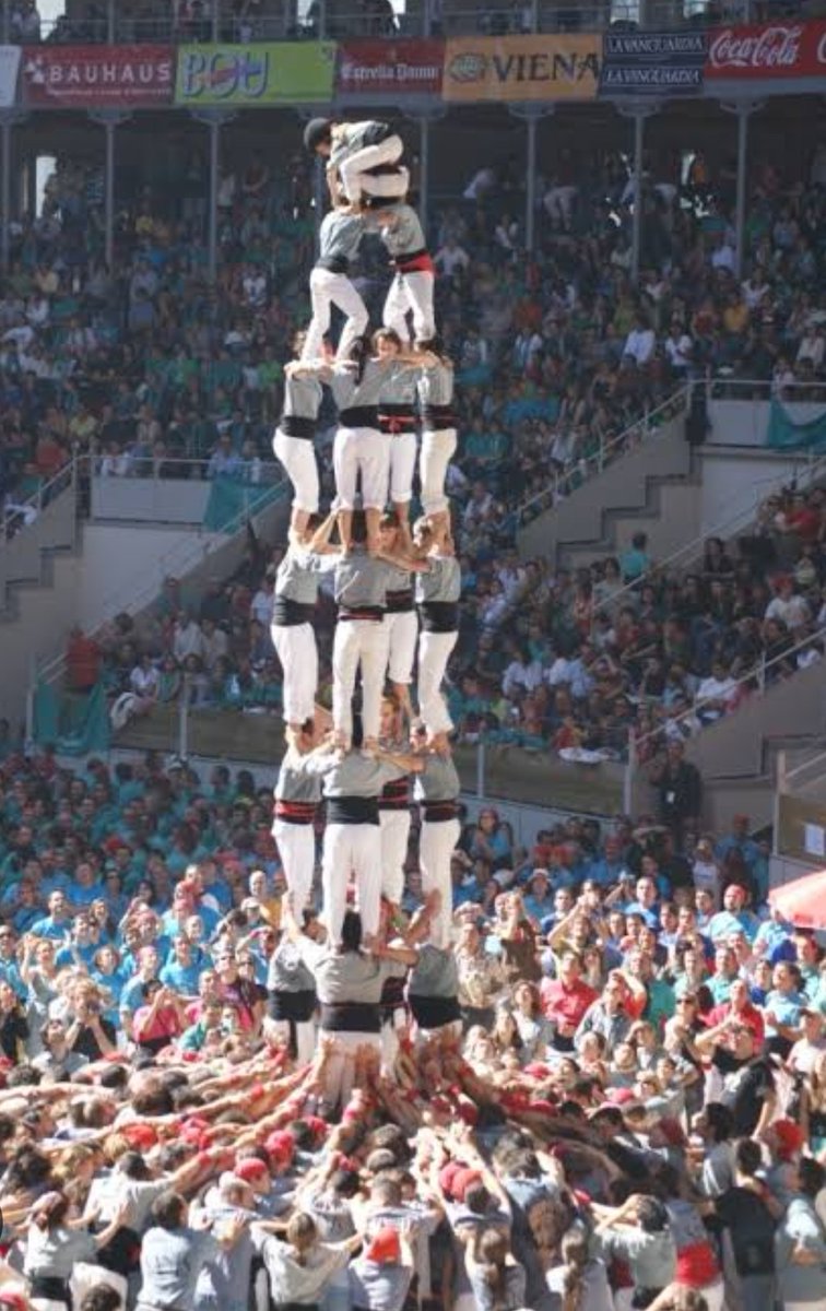 The Great Martis tweet media