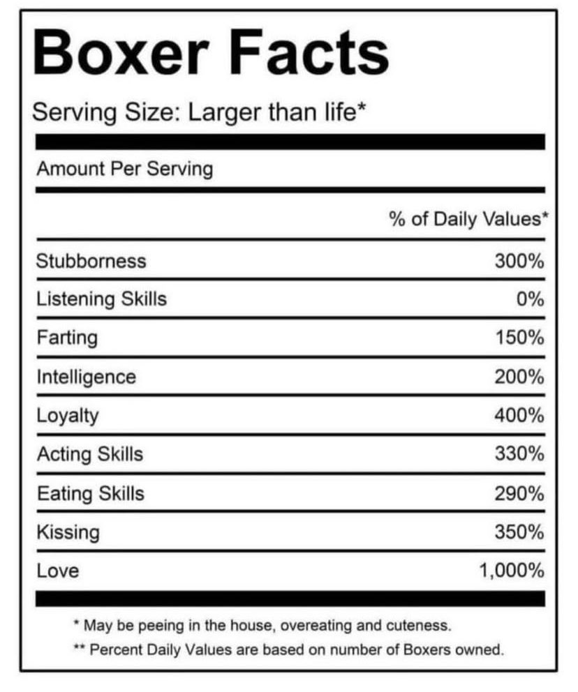 #BoxerDog Facts. 😂🤣💚💚