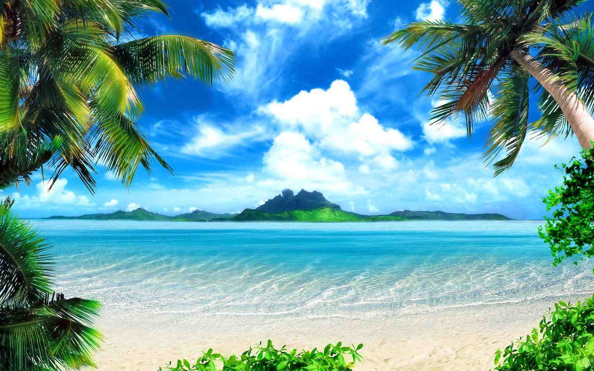 MtMegaa's tweet photo. Relax https://t.co/f13uVyOmwu