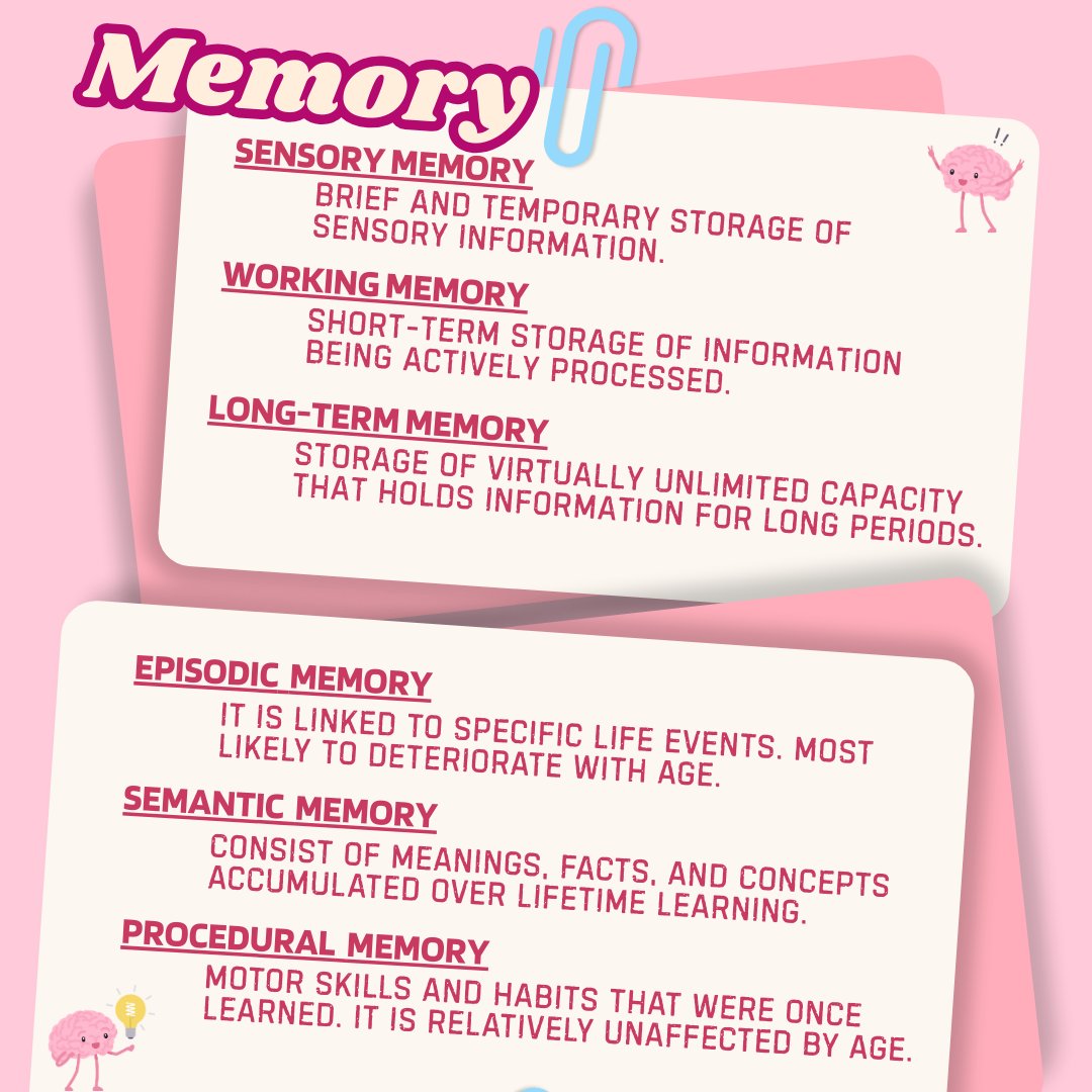 📝Developmental Psychology