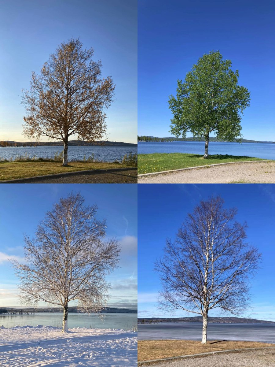 intelocode's tweet image. Same location nearby my place in 4 seasons !