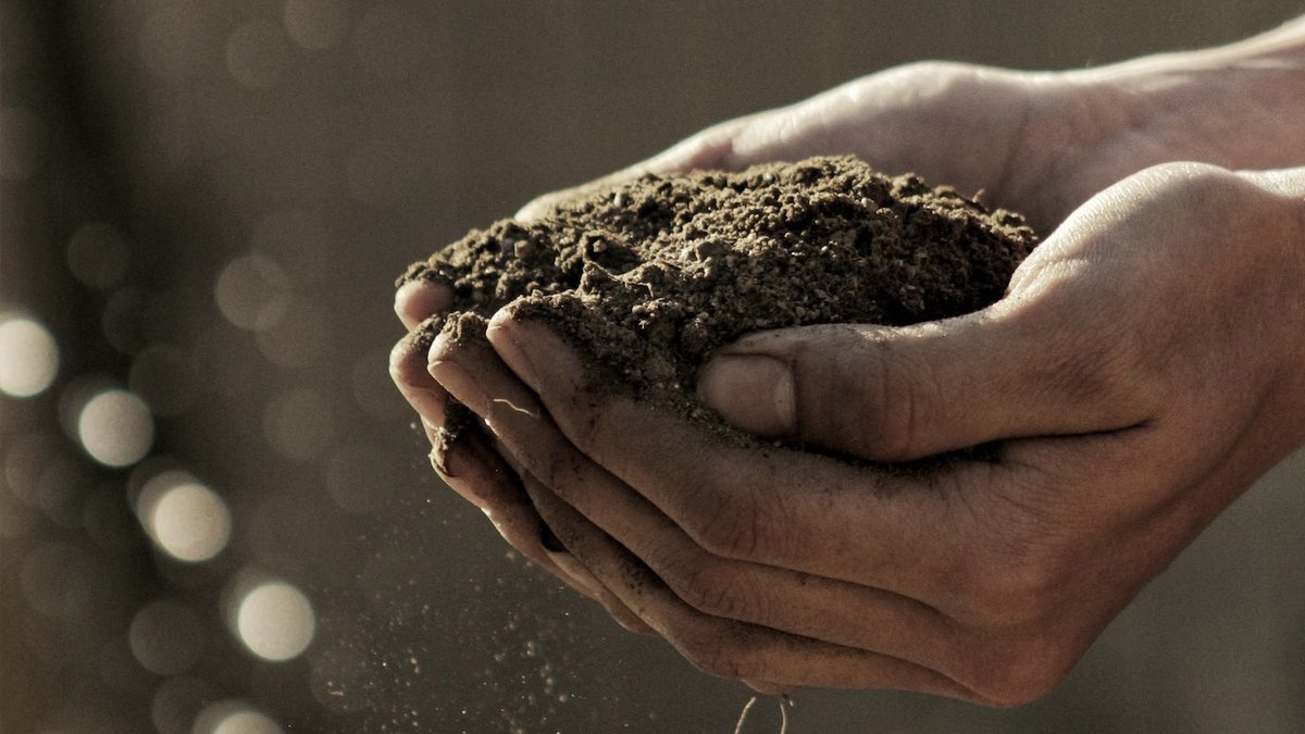 NWP (@nwpnederland) on Twitter photo Happy #WorldSoilDay! At <a href="/nwpnederland/">NWP</a>, we support our members working to protect & restore soil health worldwide.
For example, through the #WaterForFood Programme, #NWPmember <a href="/WaterAcacia/">Acacia Water</a> has contributed to agricultural land regeneration in coastal Kenya. netherlandswaterpartnership.com/news/water-bri… Happy #WorldSoilDay! At <a href="/nwpnederland/">NWP</a>, we support our members working to protect & restore soil health worldwide.
For example, through the #WaterForFood Programme, #NWPmember <a href="/WaterAcacia/">Acacia Water</a> has contributed to agricultural land regeneration in coastal Kenya. netherlandswaterpartnership.com/news/water-bri…