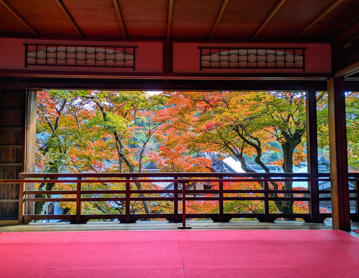 caramelnonchan's tweet photo. 長岡京　柳谷観音楊谷寺様
花手水発祥のお寺
紅葉ウィークで華やかでした
#Nonの秋旅
#柳谷観音楊谷寺
#花手水 https://t.co/bQPYZb7R4i