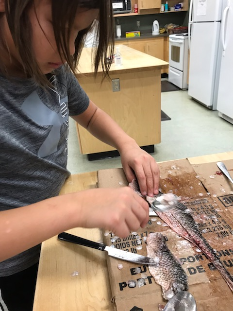 École St. Joseph School tweet media