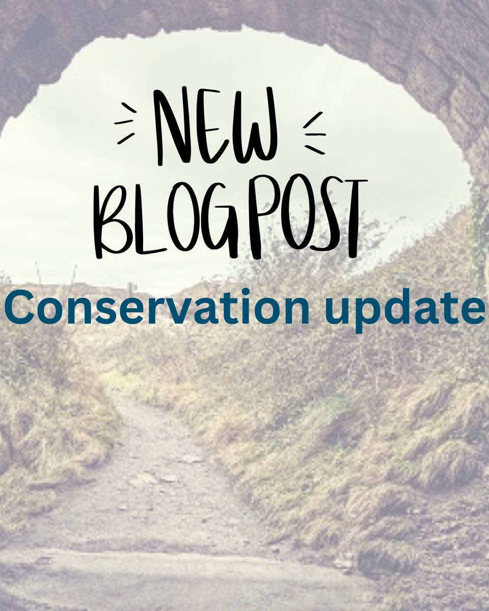 Jurassic Coast Trust (@jurassic_coast) on Twitter photo Read our latest blog post all about the latest #conservation work going on at the #JurassicCoastWorldHeritageSite
jurassiccoast.org/blog/read/2024… Read our latest blog post all about the latest #conservation work going on at the #JurassicCoastWorldHeritageSite
jurassiccoast.org/blog/read/2024…