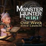 Photo by Monster Hunter Wiki (@MonHunWiki)