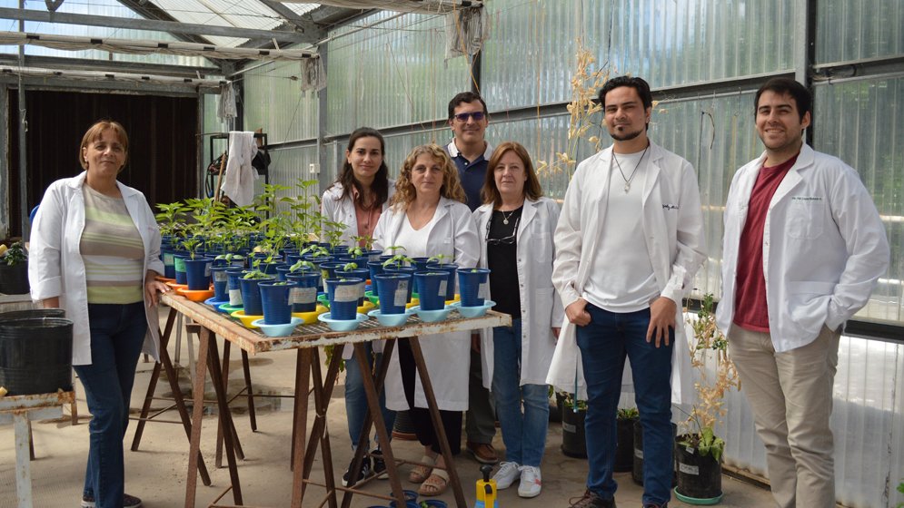 CONICETLaPlata's tweet photo. Ciencia eficiente en el Día Mundial del #Suelo para revalorizar al sostén fundamental del ambiente y la vida

Estos son algunos de los proyectos de investigación sobre la temática que lleva adelante un equipo del #CONICET #LaPlata en el #INFIVE

👉https://t.co/e8tAtvta6P https://t.co/FIuSJUtmJT