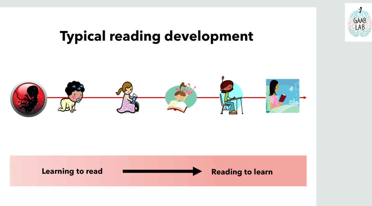 Did you know that learning to read actually begins in utero when we start to process oral language? #themoreyouknow #R4DysConf #neuronerd