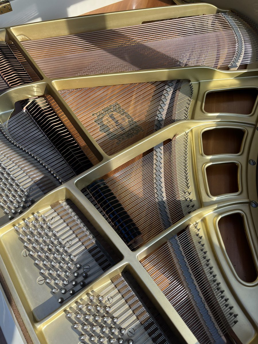 evanaustinauthr's tweet image. Who doesn’t like a lil before-and-after? Spent half a day detailing this piano. Always satisfying. #dayjob #pianotechnician