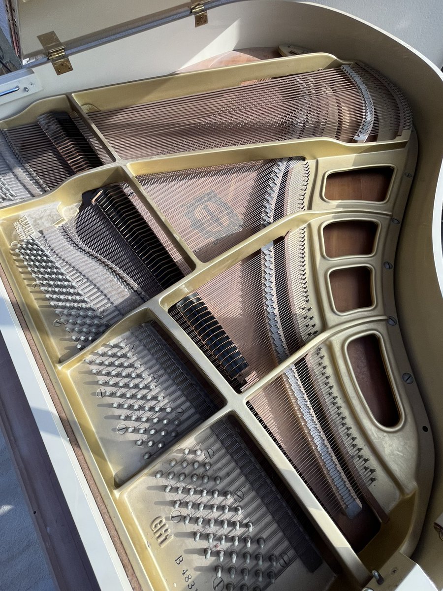 evanaustinauthr's tweet image. Who doesn’t like a lil before-and-after? Spent half a day detailing this piano. Always satisfying. #dayjob #pianotechnician