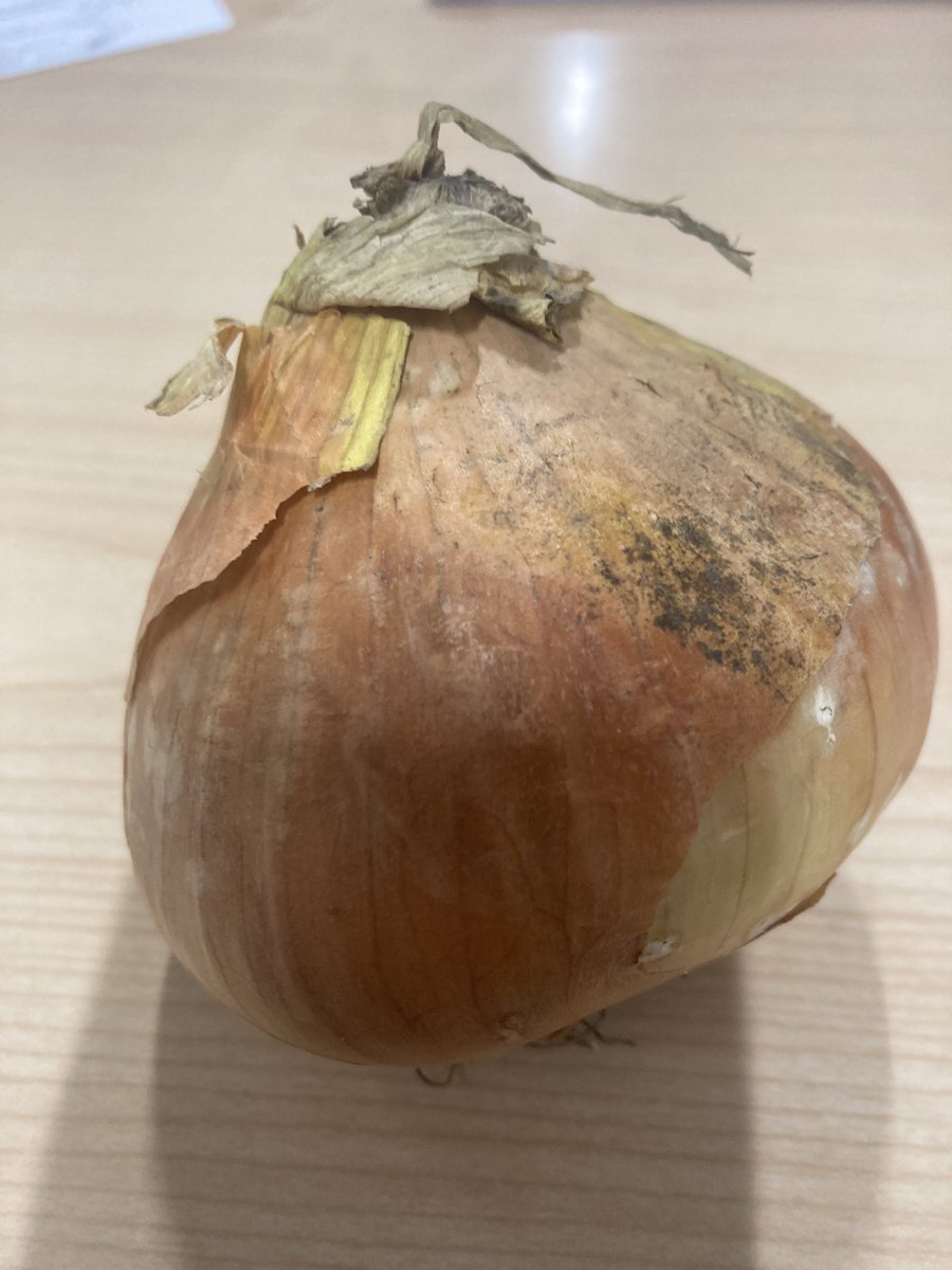 Farmer’s Market today at EA can only mean one thing: Duffy onions