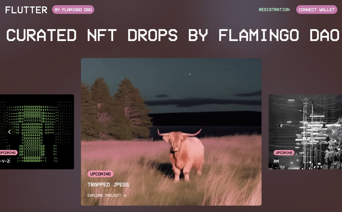 Pre-registration for the Flamingo Flutter drops by <a href="/bagdelete/">noper</a>, <a href="/andrea_ciulu/">Andrea Ciulu</a> &amp; <a href="/andreasgysin/">ertdfgcvb 𓅰 𓅬 𓅭 𓅮 𓅯</a> has opened! 🦩

As a reminder, the wallet snapshat has already been taken. Eligible wallets can head here to pre-register for the free mints: flutter.flamingodao.xyz

More info &amp;