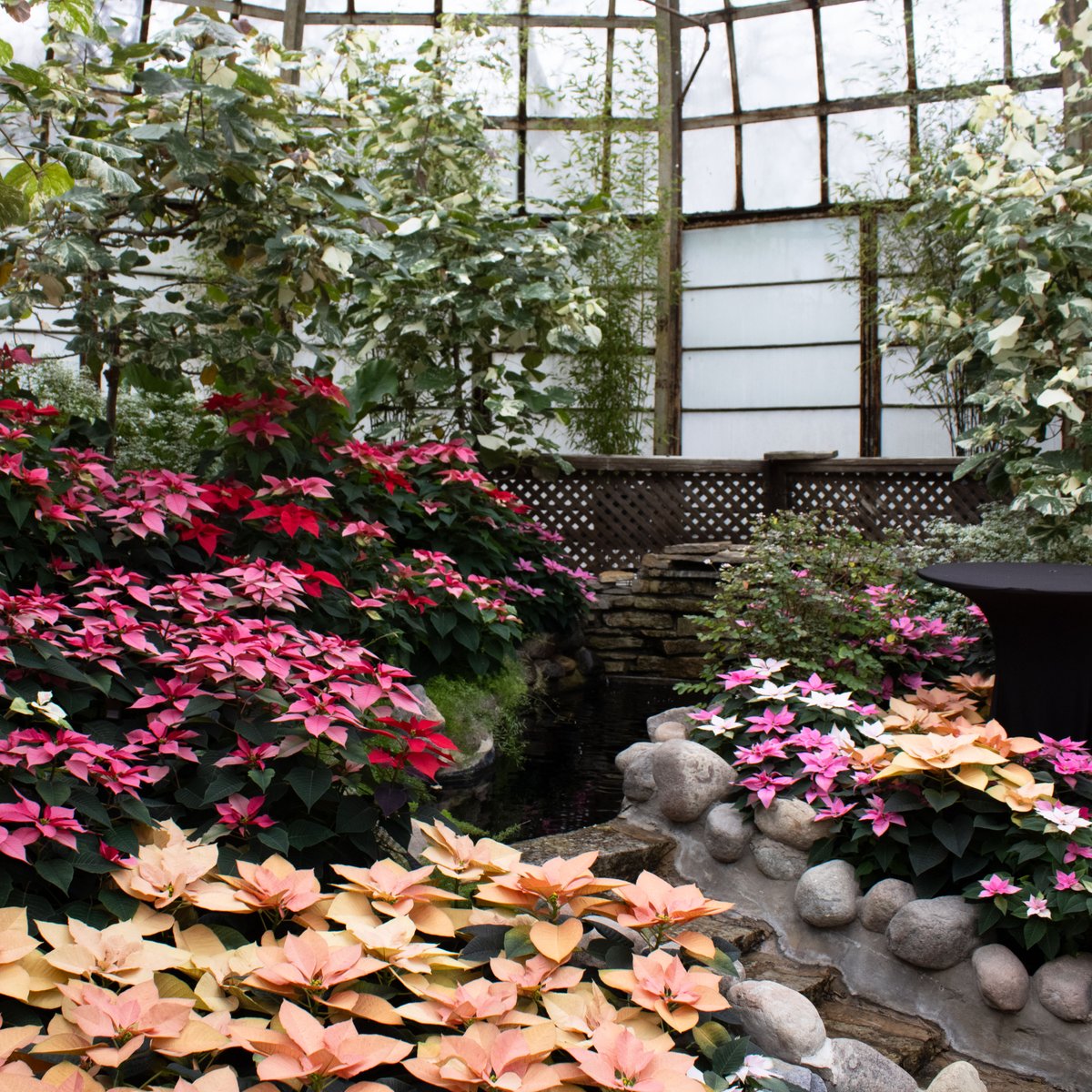 Lincoln Park Conservancy tweet media