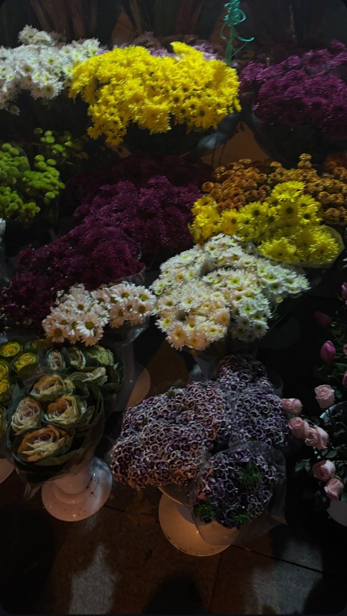 "Bu kadar renk varken karanlığa yer yok. 🌸🌙"