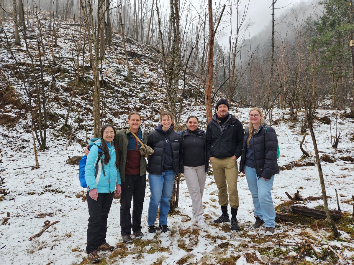 ccgrueter's tweet image. Primate fieldwork in #Shennongjia @UWAhumanscience @BiolSci_UWA @NewColomboPlan