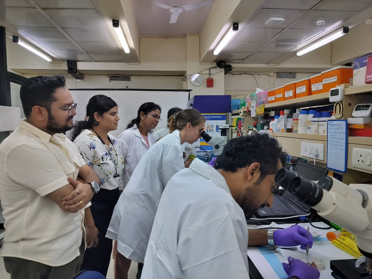 icmrnirwoh's tweet photo. Today's lab activity for #OpeningGates training course focused on isolation and culture of antral follicles and COC expansion. The participants also completed the experiments on fertilization leading to early embryonic development. https://t.co/gUFu8UEZmI
