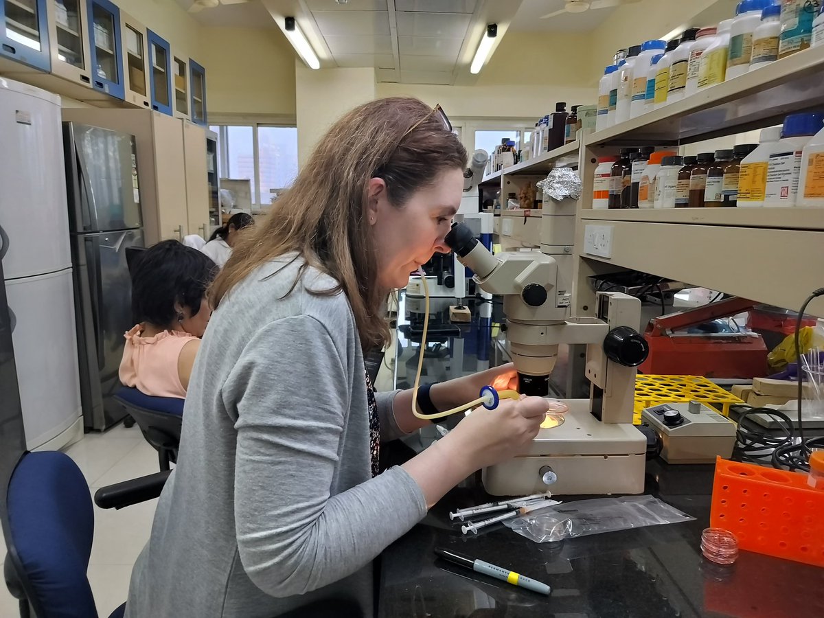 icmrnirwoh's tweet photo. Today's lab activity for #OpeningGates training course focused on isolation and culture of antral follicles and COC expansion. The participants also completed the experiments on fertilization leading to early embryonic development. https://t.co/gUFu8UEZmI
