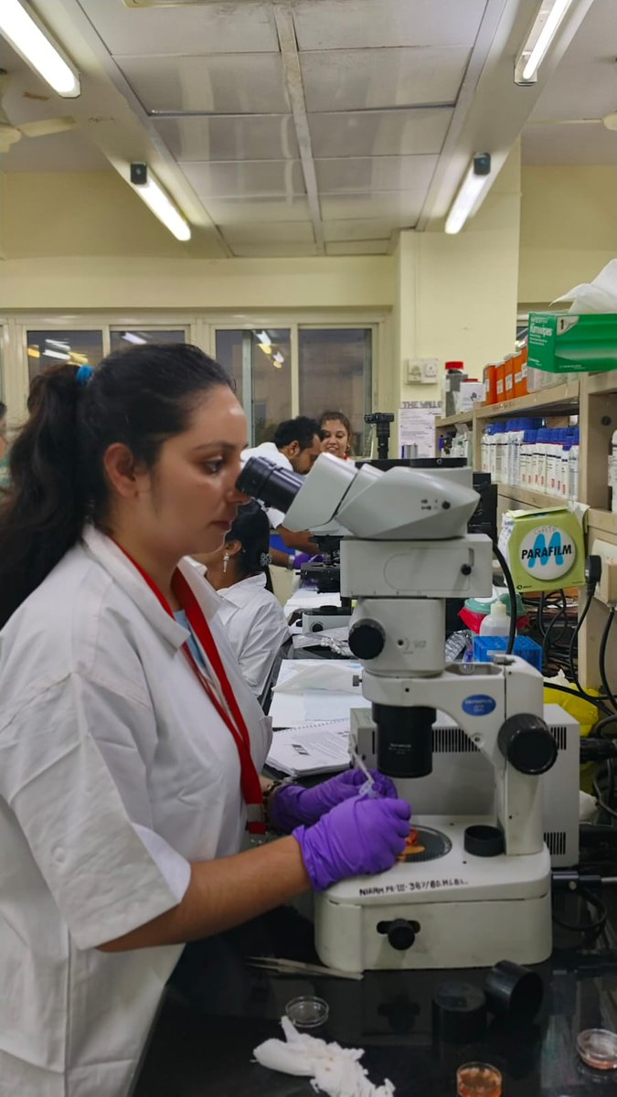 icmrnirwoh's tweet photo. Today's lab activity for #OpeningGates training course focused on isolation and culture of antral follicles and COC expansion. The participants also completed the experiments on fertilization leading to early embryonic development. https://t.co/gUFu8UEZmI