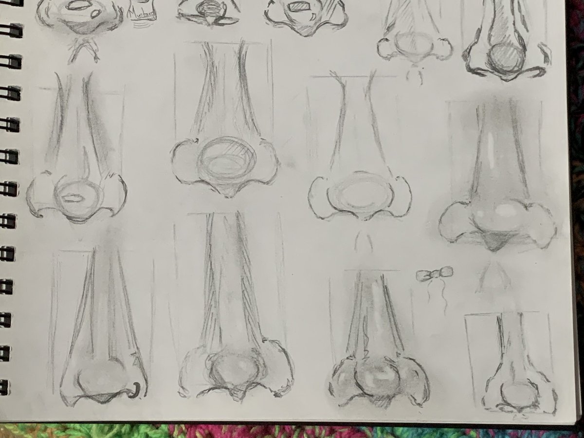 Simply_Human_03's tweet image. 👃✍️

#artstudy #noses #facestudy #features #realism #practice #arttwt #artmoots #Artnose #sketchbook #sketch #doodles #explorepage