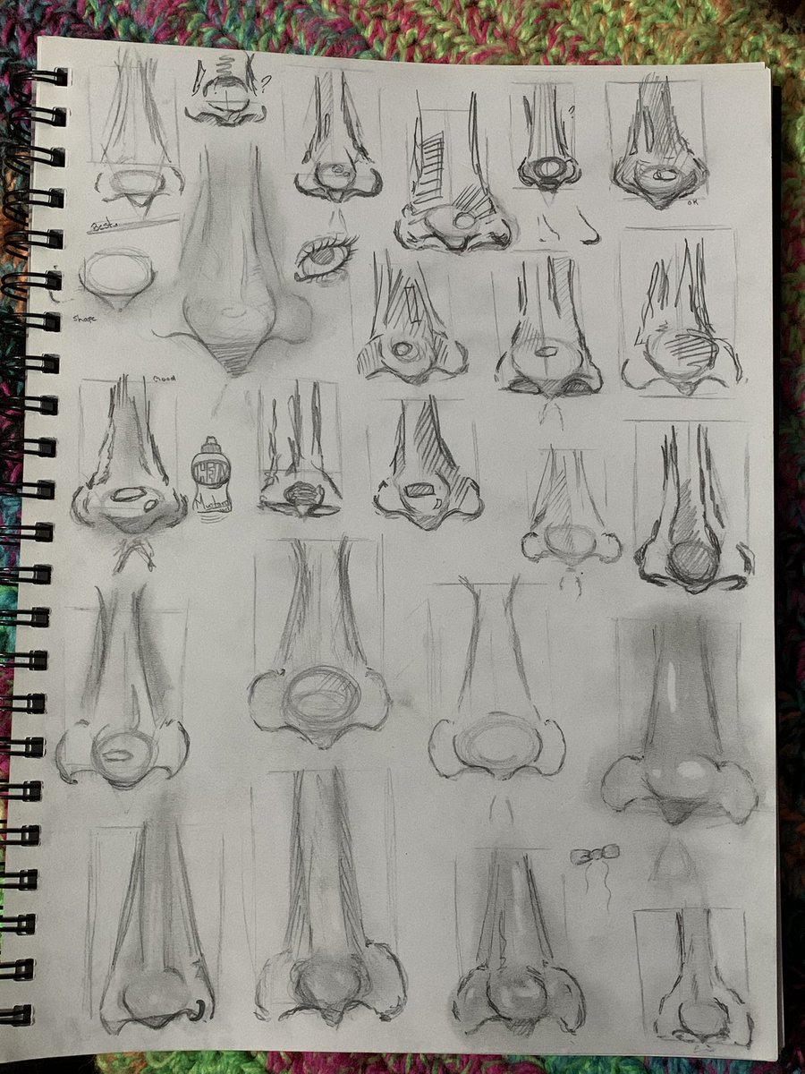 Simply_Human_03's tweet image. 👃✍️

#artstudy #noses #facestudy #features #realism #practice #arttwt #artmoots #Artnose #sketchbook #sketch #doodles #explorepage