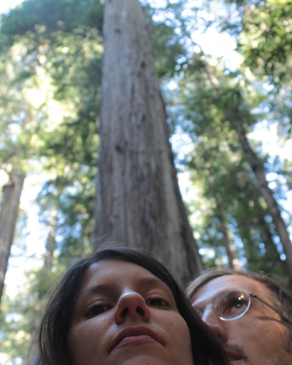 lowlandhum's tweet photo. snapshots from over ten years ago when we first set out on this journey of togetherness.

[Daniel singing in our bedroom of our first house, our first garden, standing under mystical redwoods on our first nationwide tour] 

https://t.co/2zTEdiMQGS https://t.co/fyuMRjdx1Z